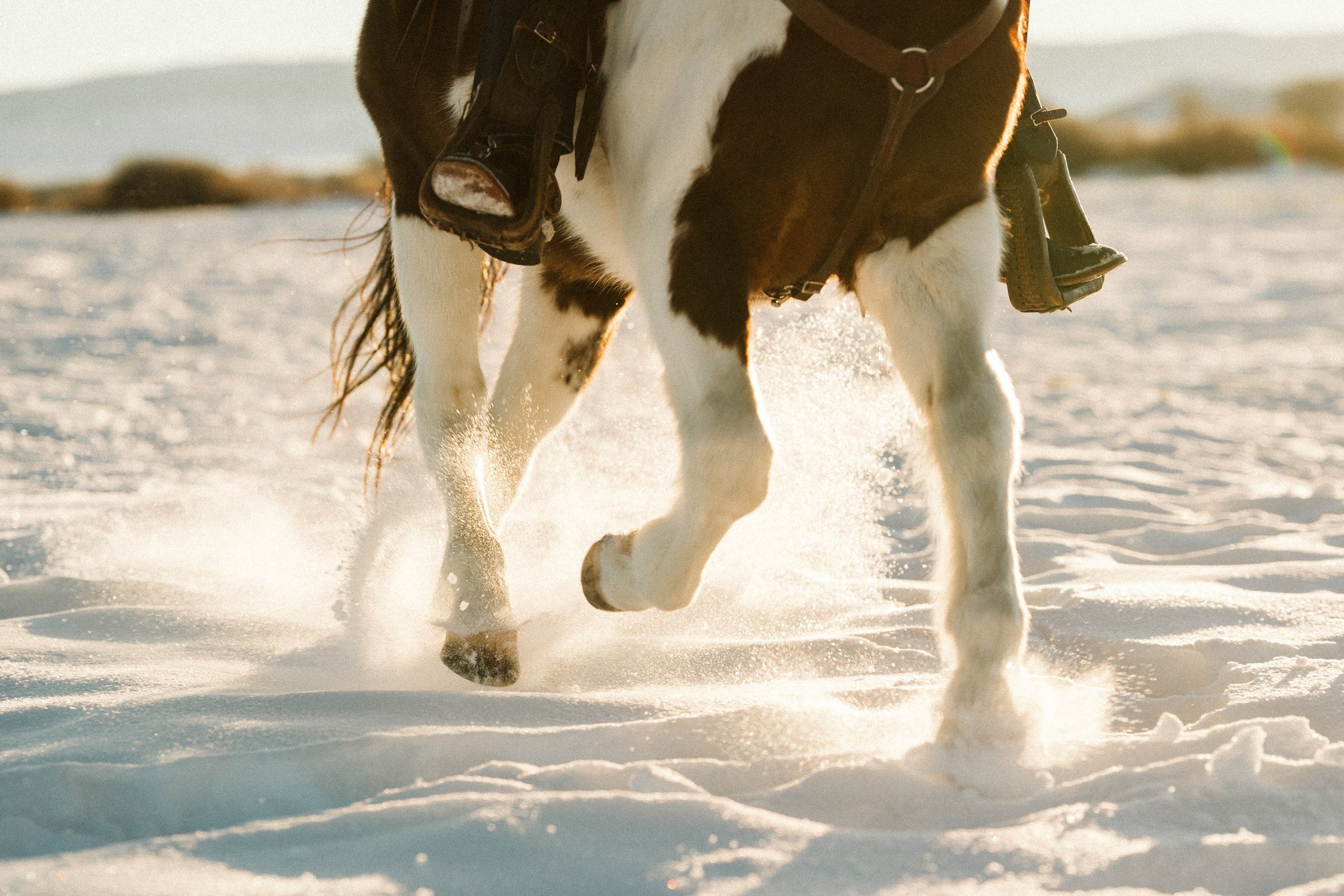 Stetson-Chance-wyoming-story-samuel-martin-30.jpg