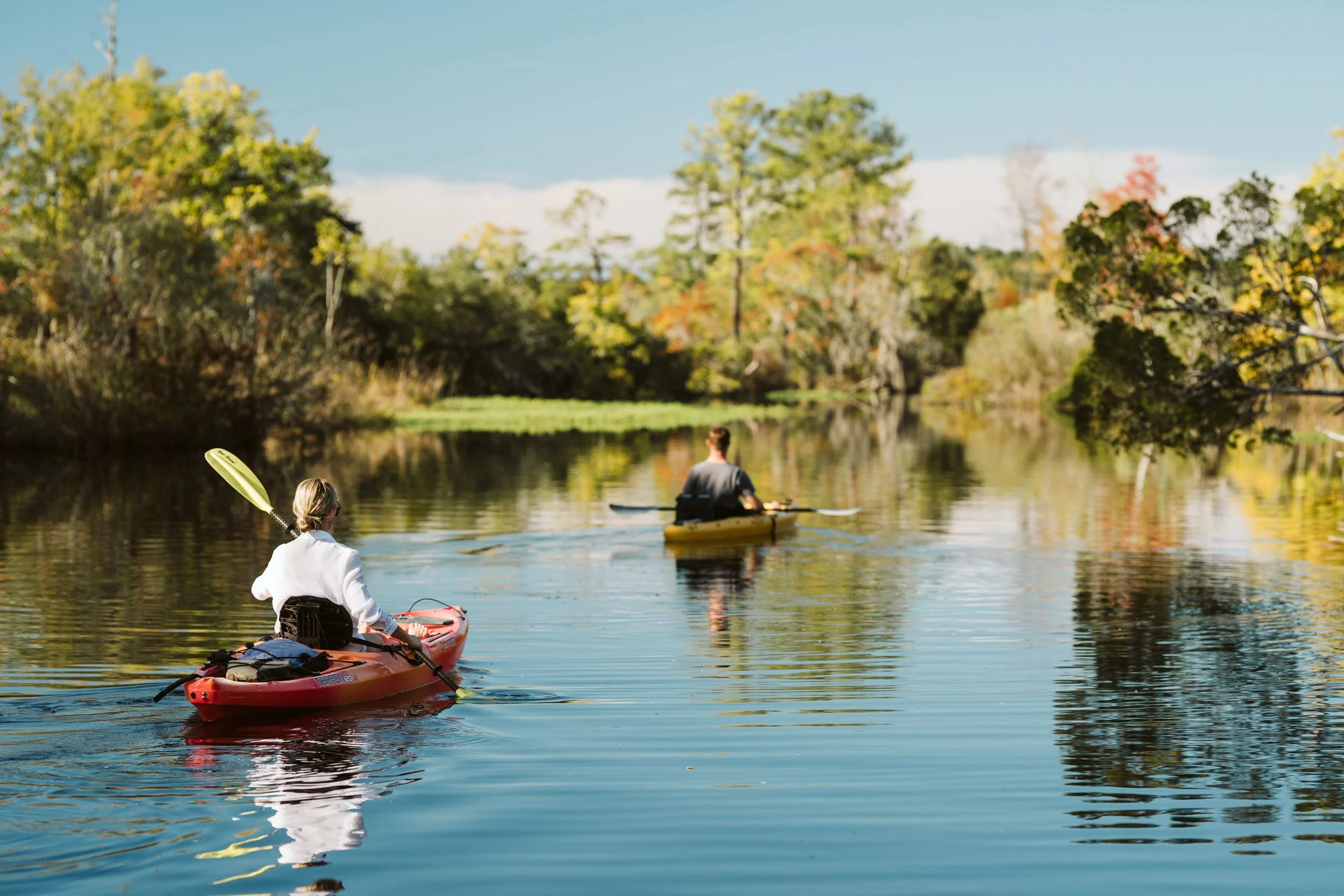 flatwater-kayaking-charleston-sc.jpg