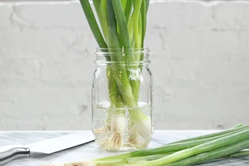 Green Onion 2.jpg