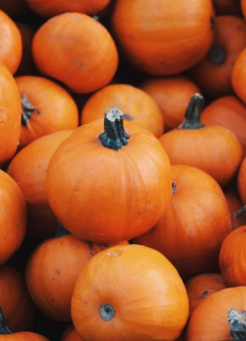 October.jpg