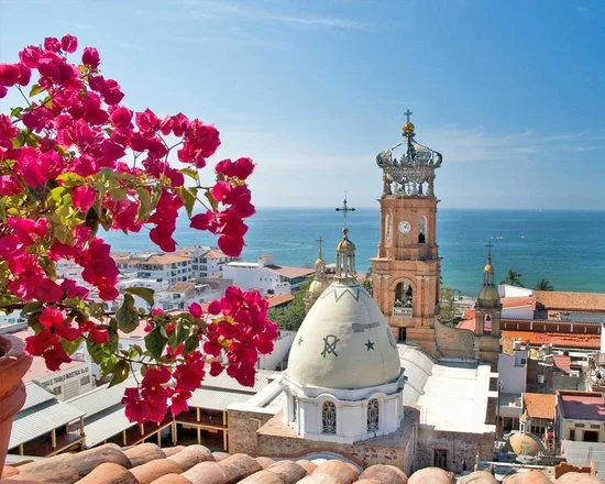 Puerto Vallarta - Flowers + View Ocean.jpg
