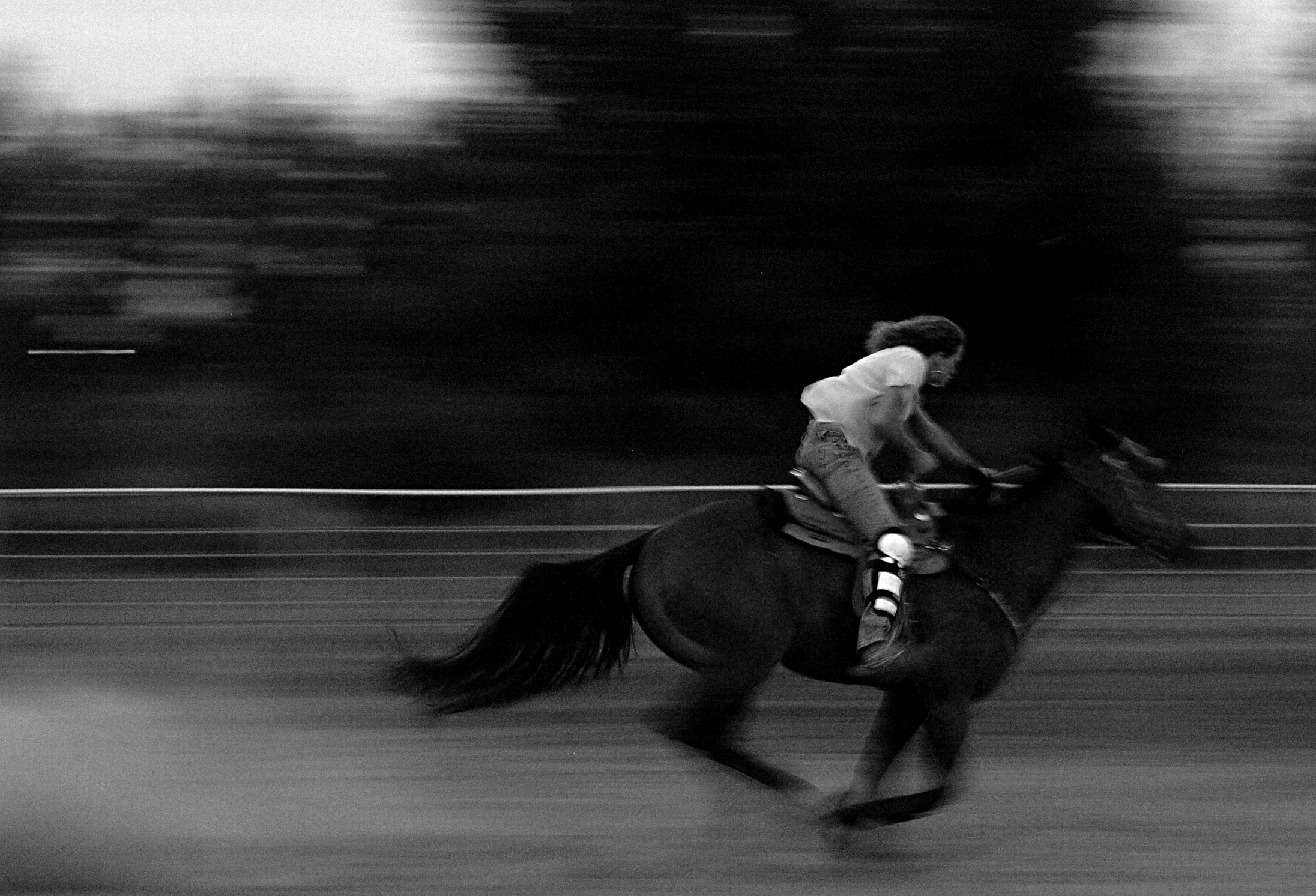 rodeoculture0023.JPG