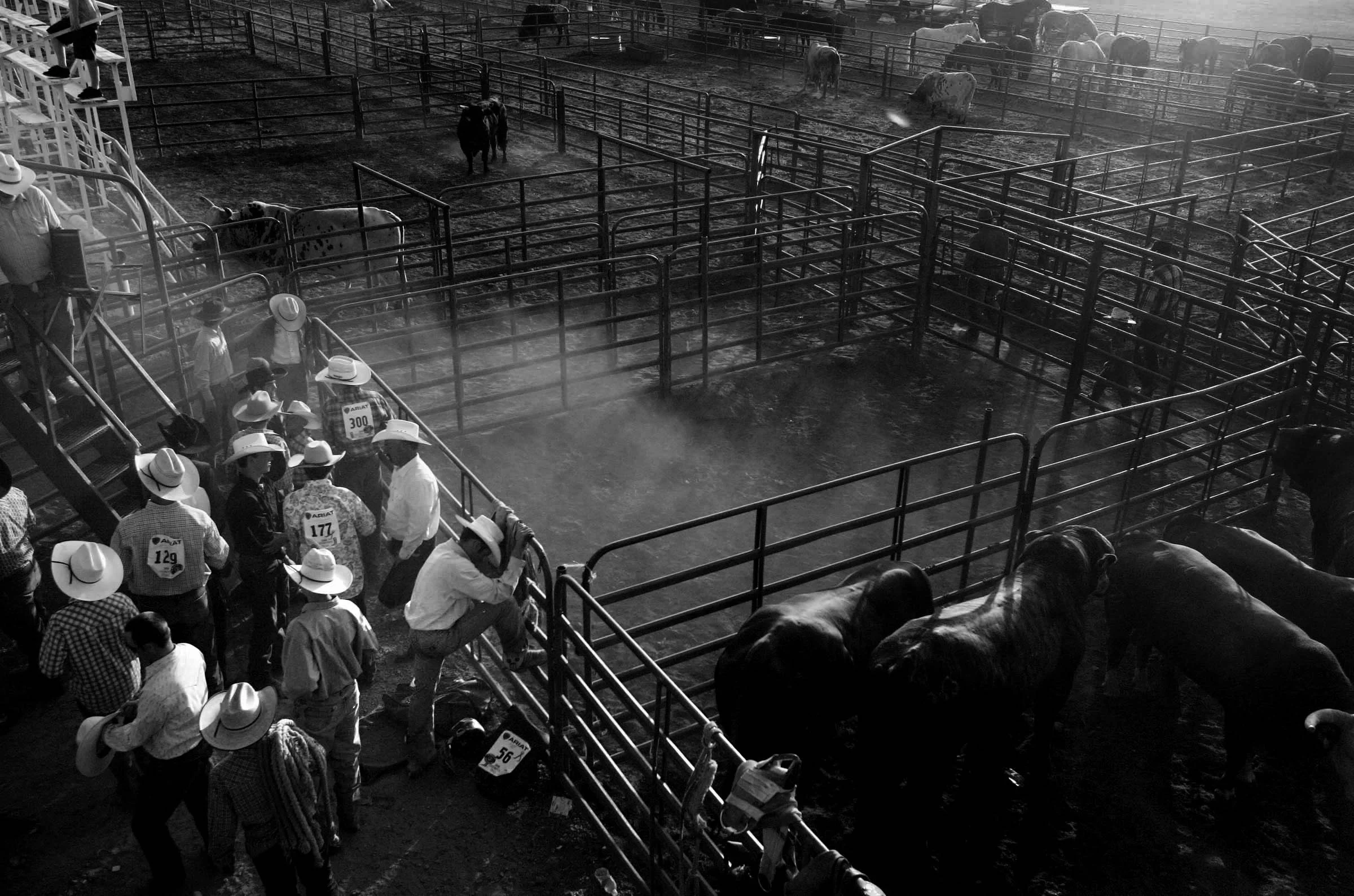 rodeoculture0020.JPG