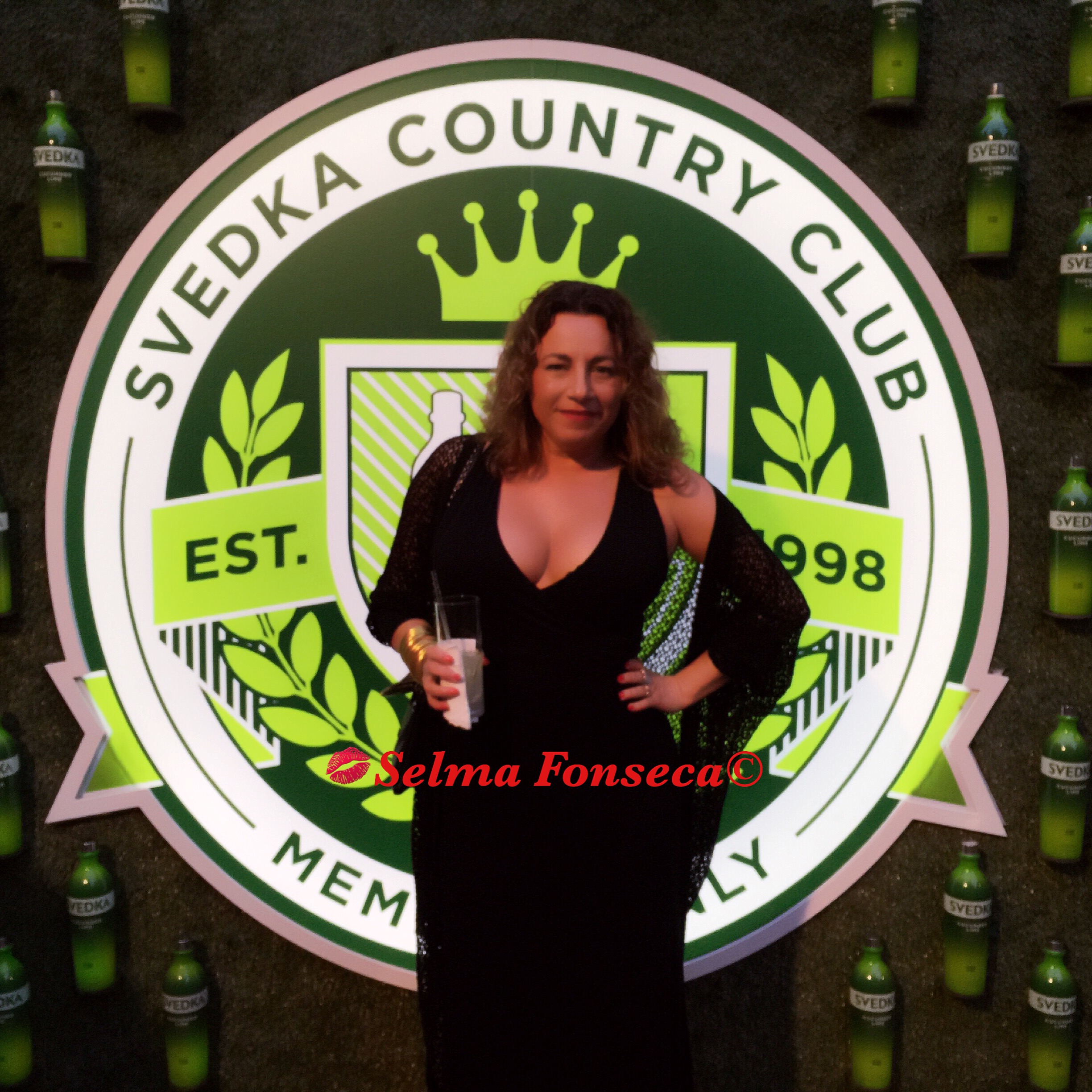 SVEDKA Party 2016 copy.jpeg