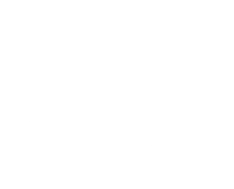 AO Logo2.png