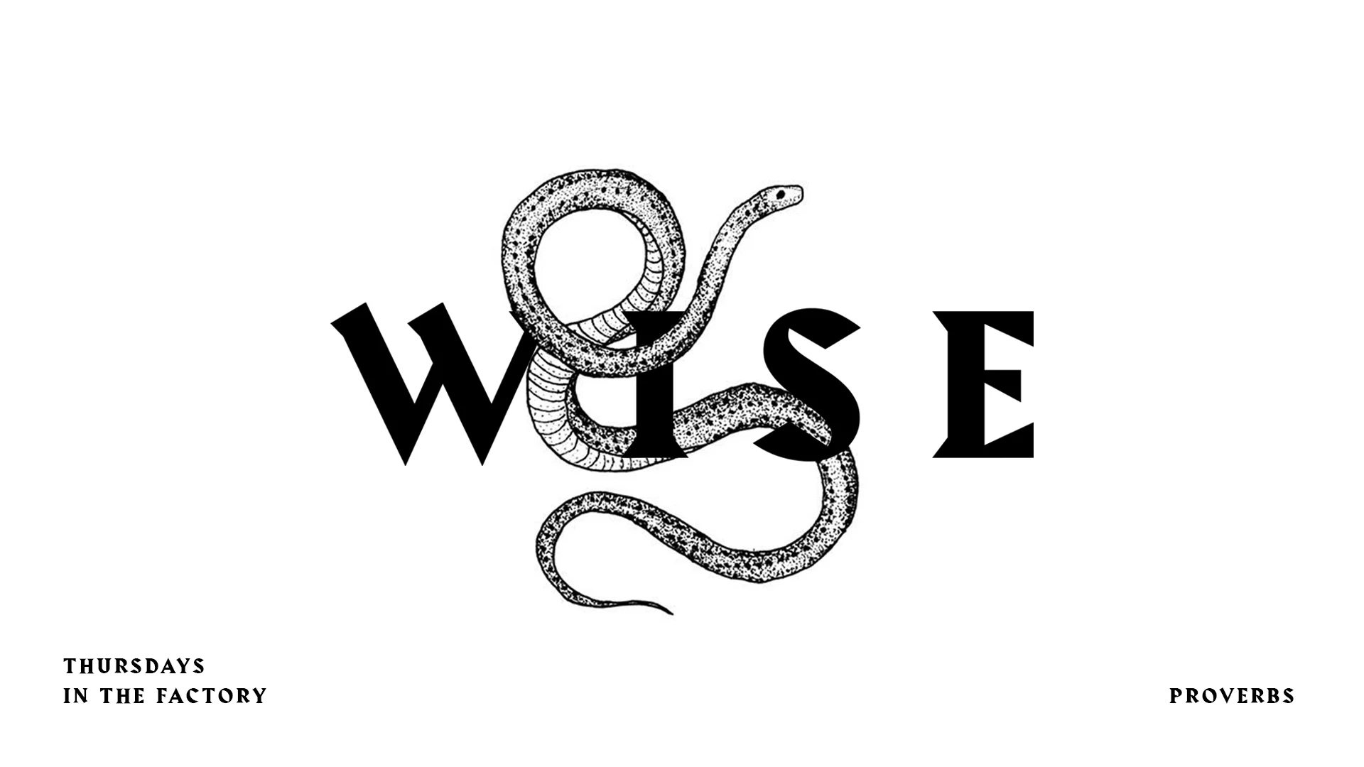 WISE1.jpg