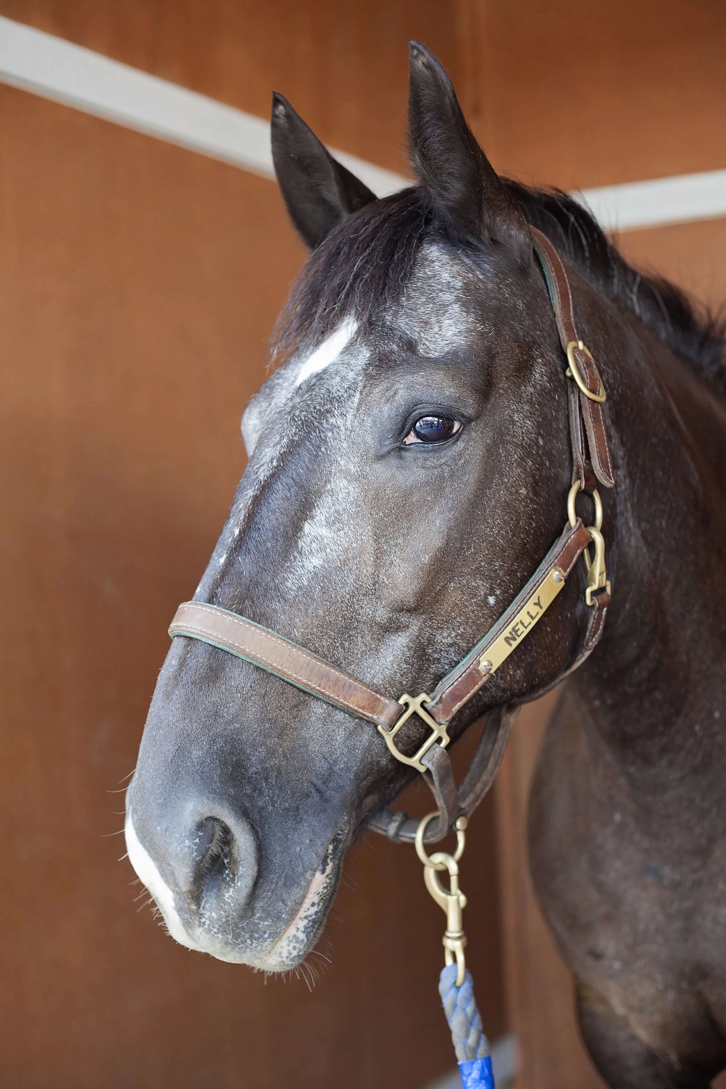 Nelly My care is 29% sponsored.