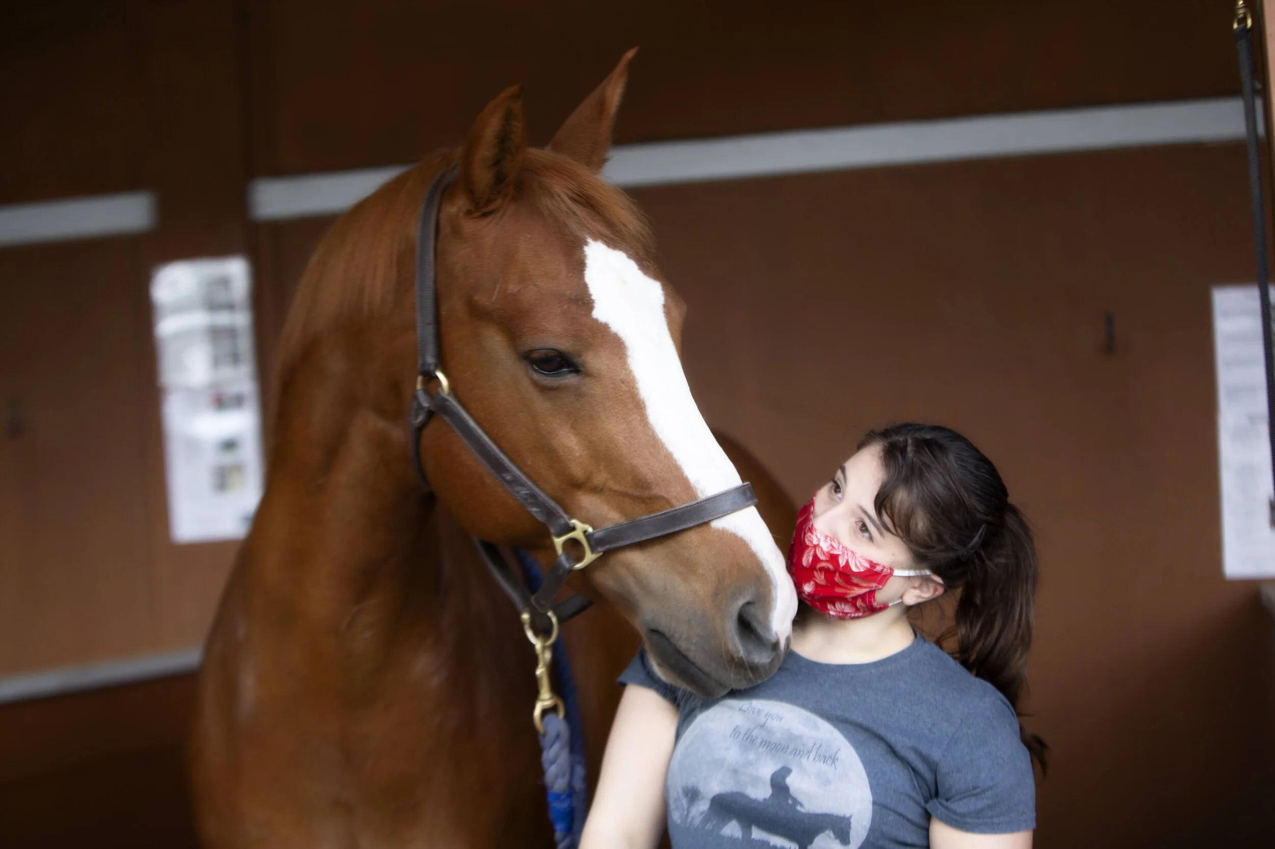 Meet Our Herd Rosie — Little Bit Therapeutic Riding Center