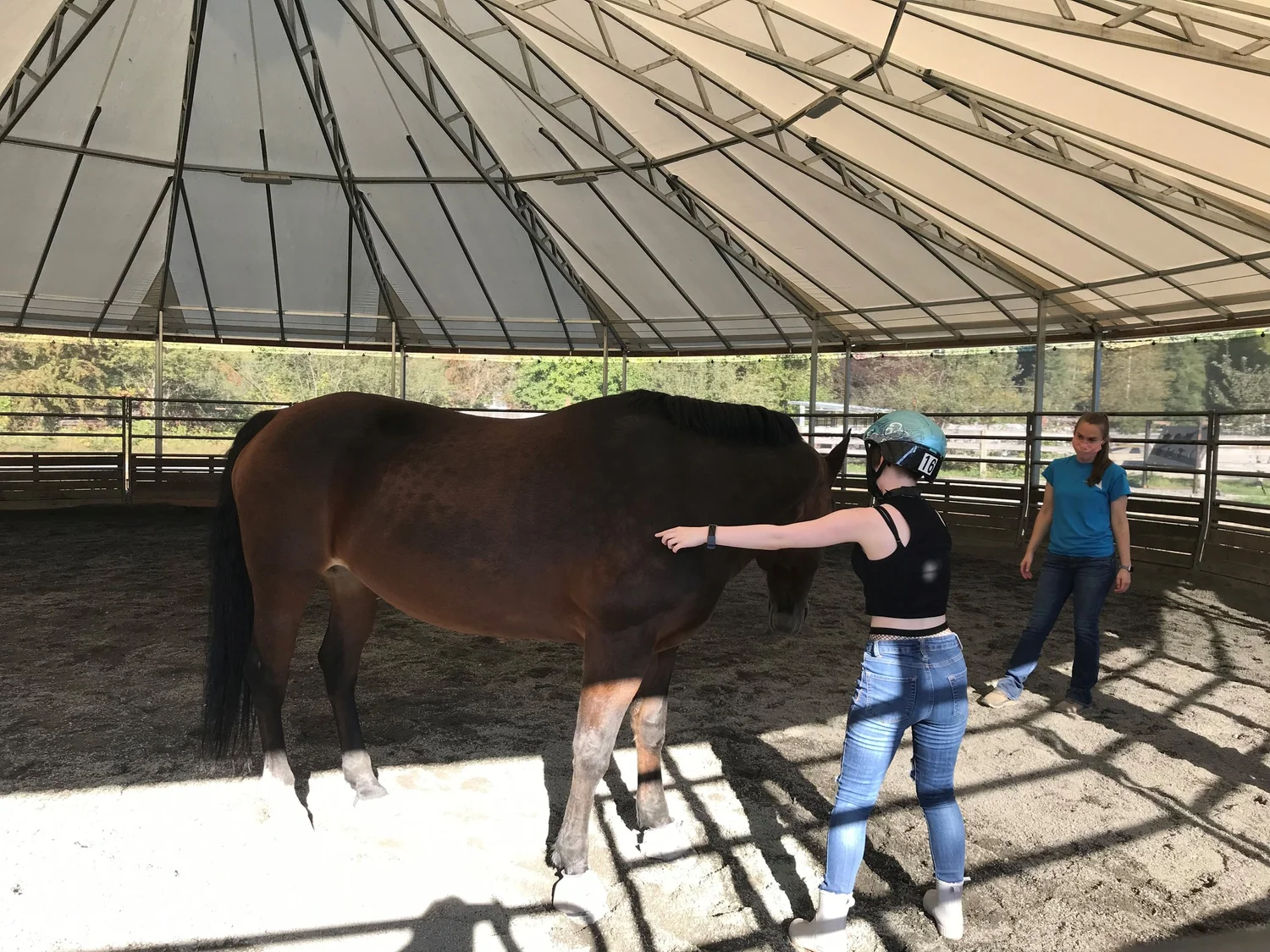 Blog — Little Bit Therapeutic Riding Center