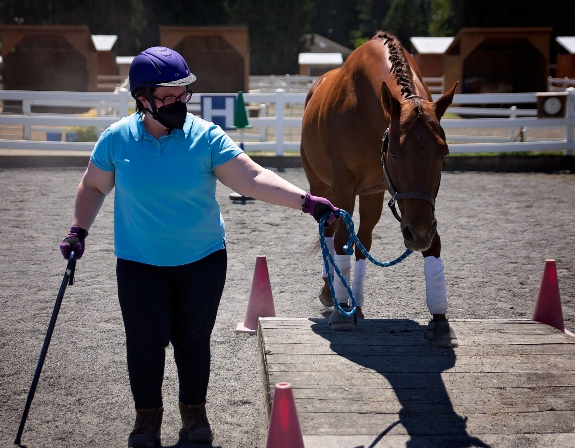 Horsemanship Program — Little Bit Therapeutic Riding Center