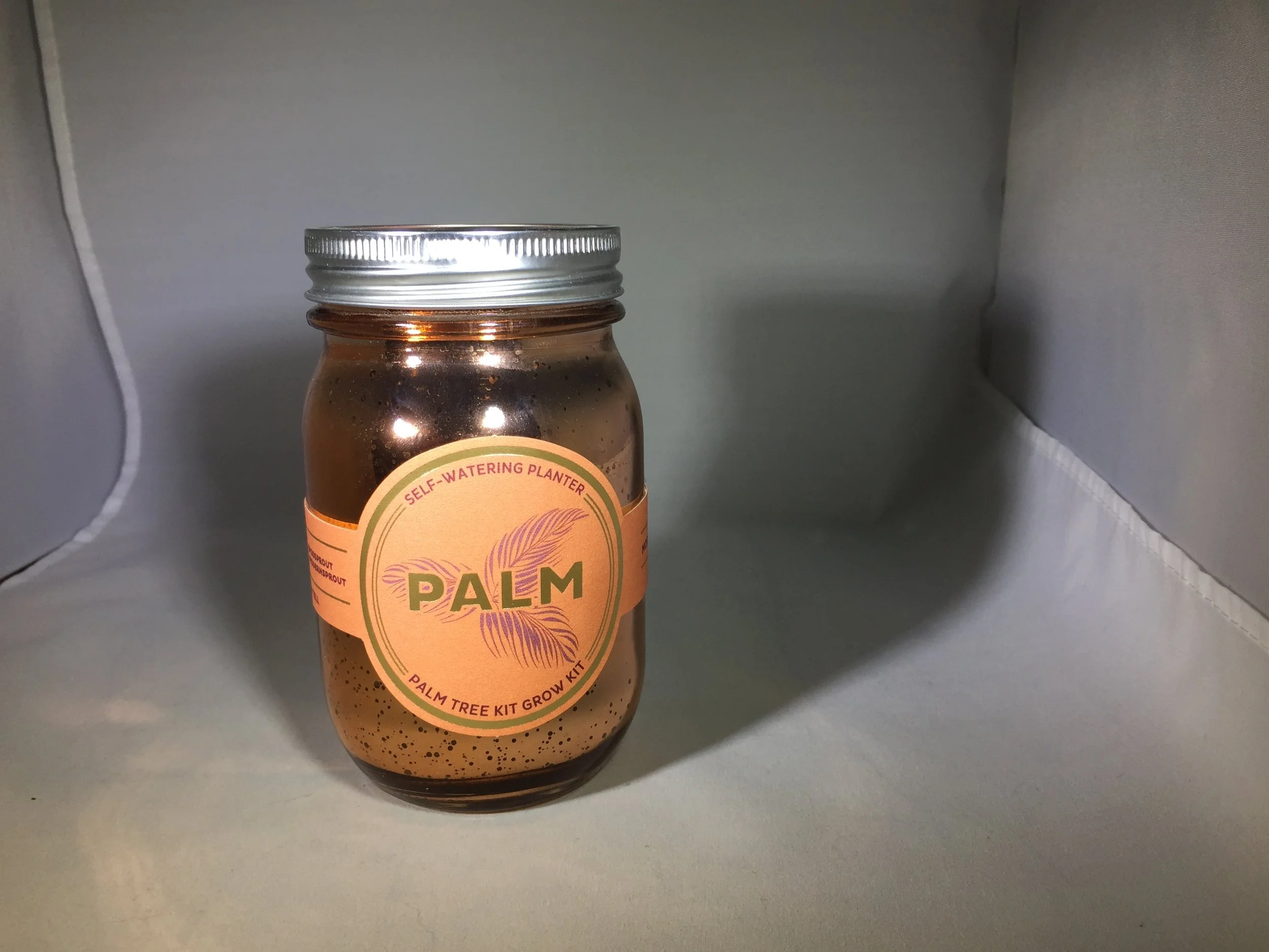 Palm Tree in a Jar