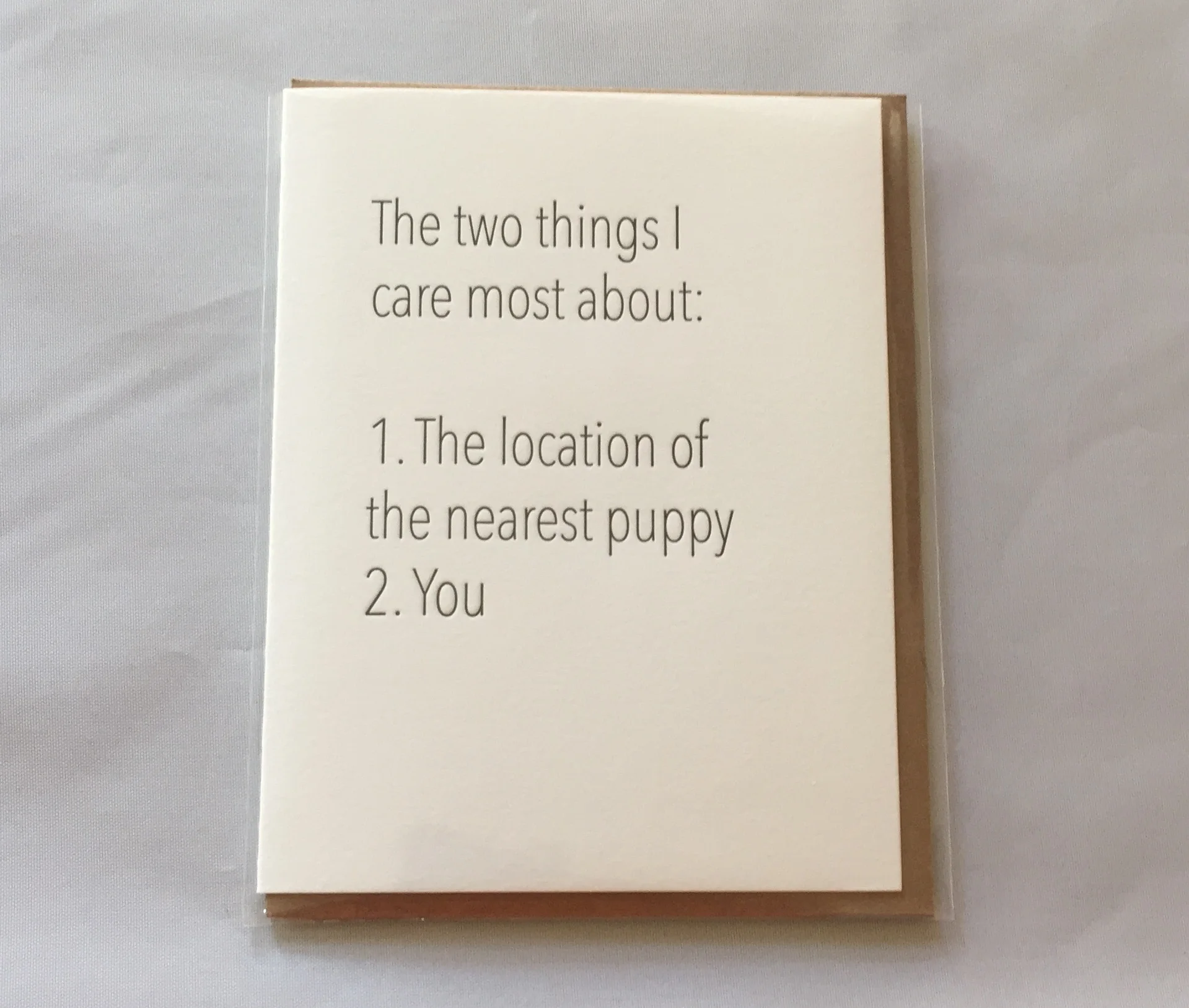 The two things I care most about: 1. the location of the nearest puppy 2. You