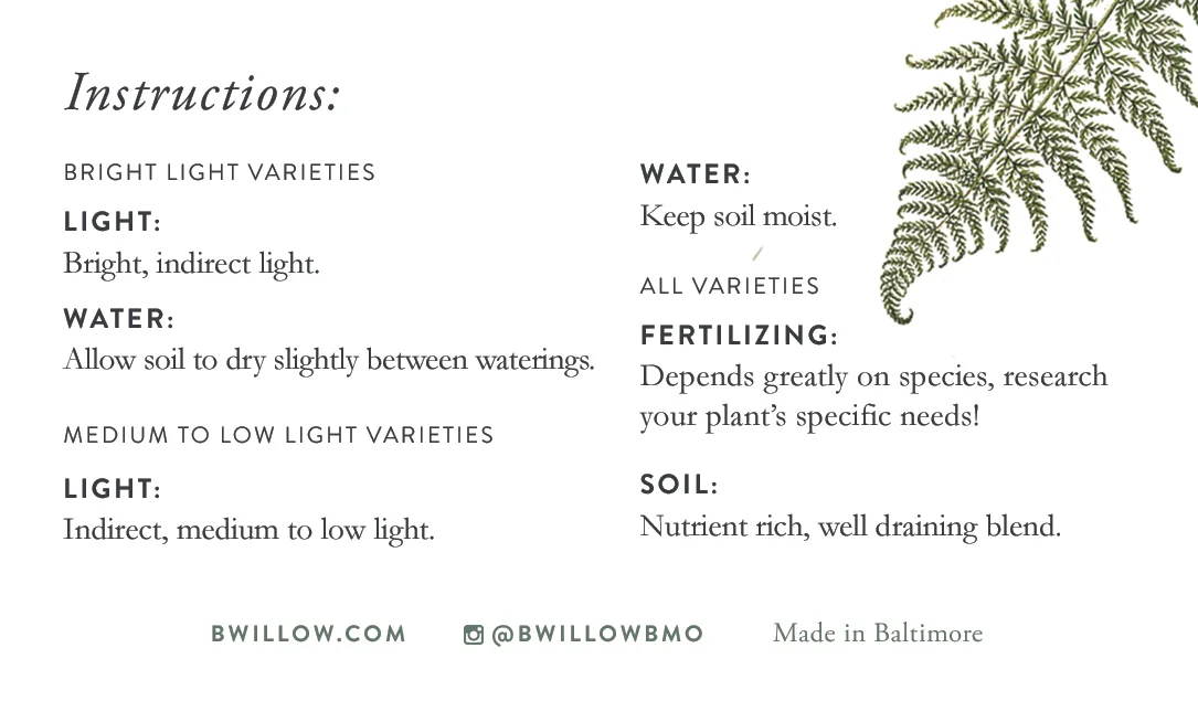 Always look up your specific plant's needs, as tropical plants can vary for care. These are just general guidelines!