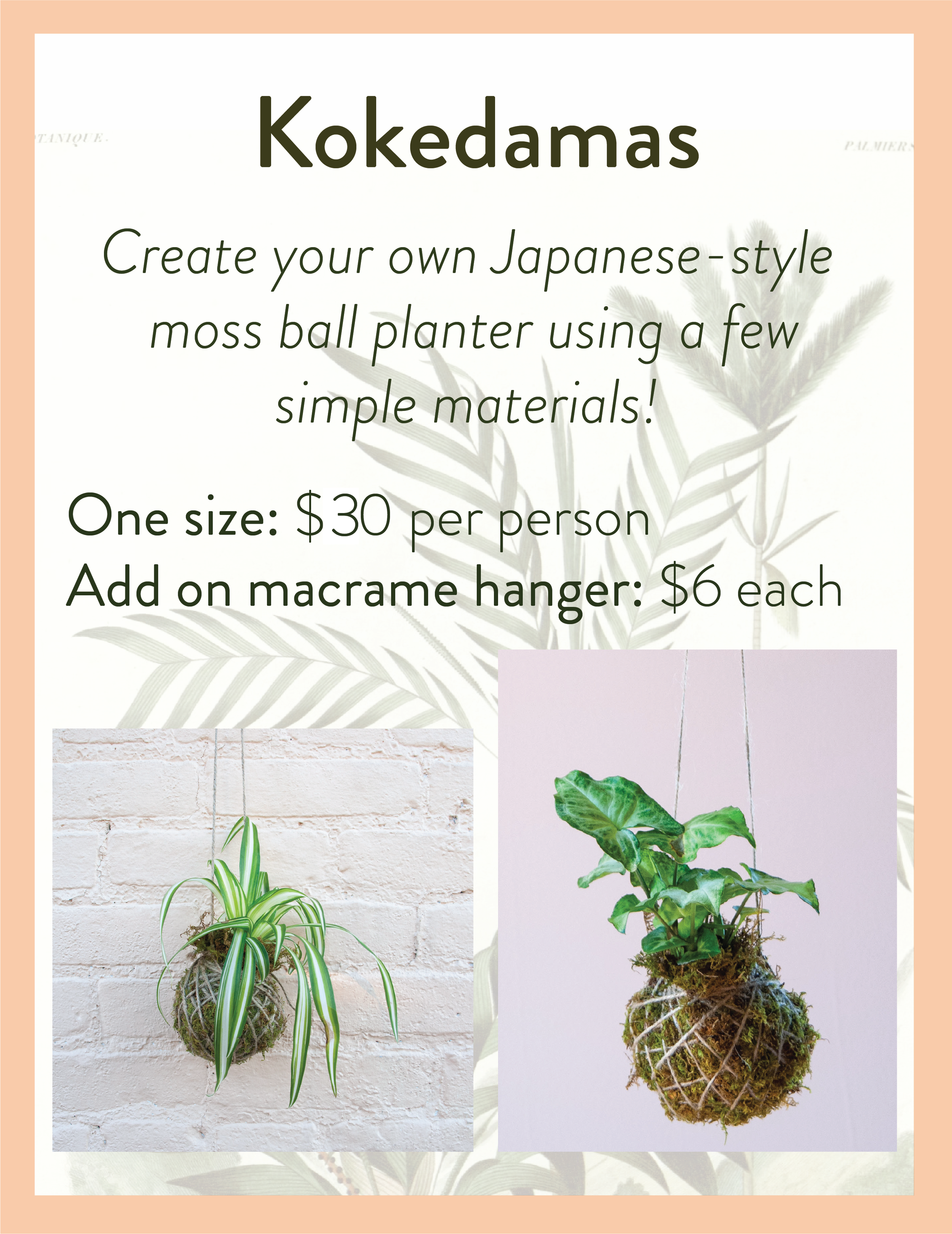 kokedama.png