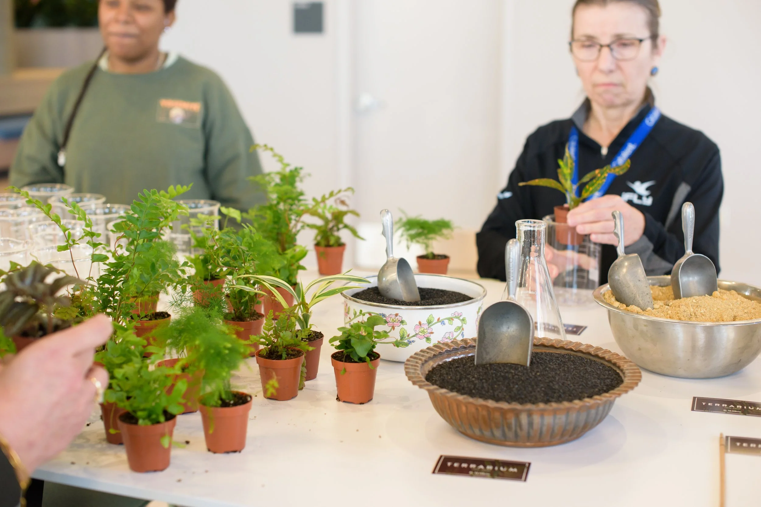 BWillow Workshop-2025-0415(SProctor)-6189.jpg