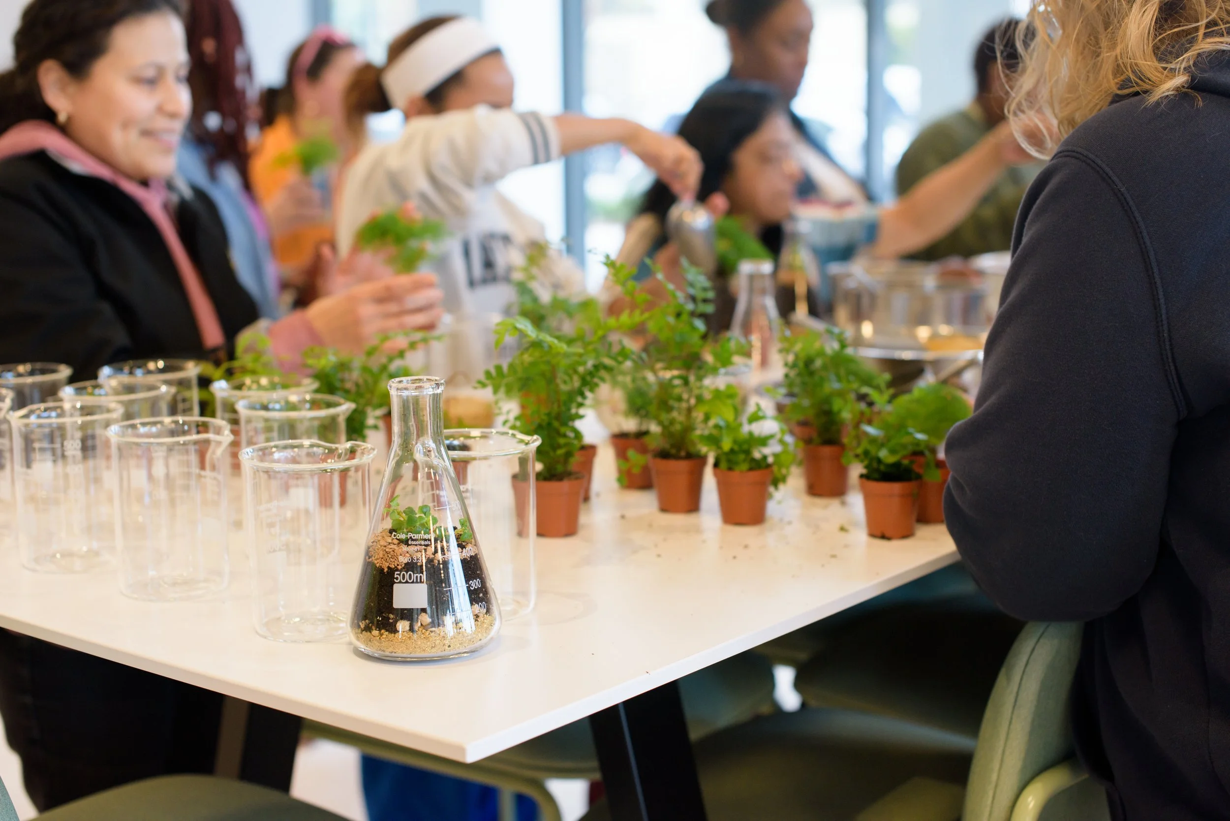 BWillow Workshop-2025-0415(SProctor)-6203.jpg