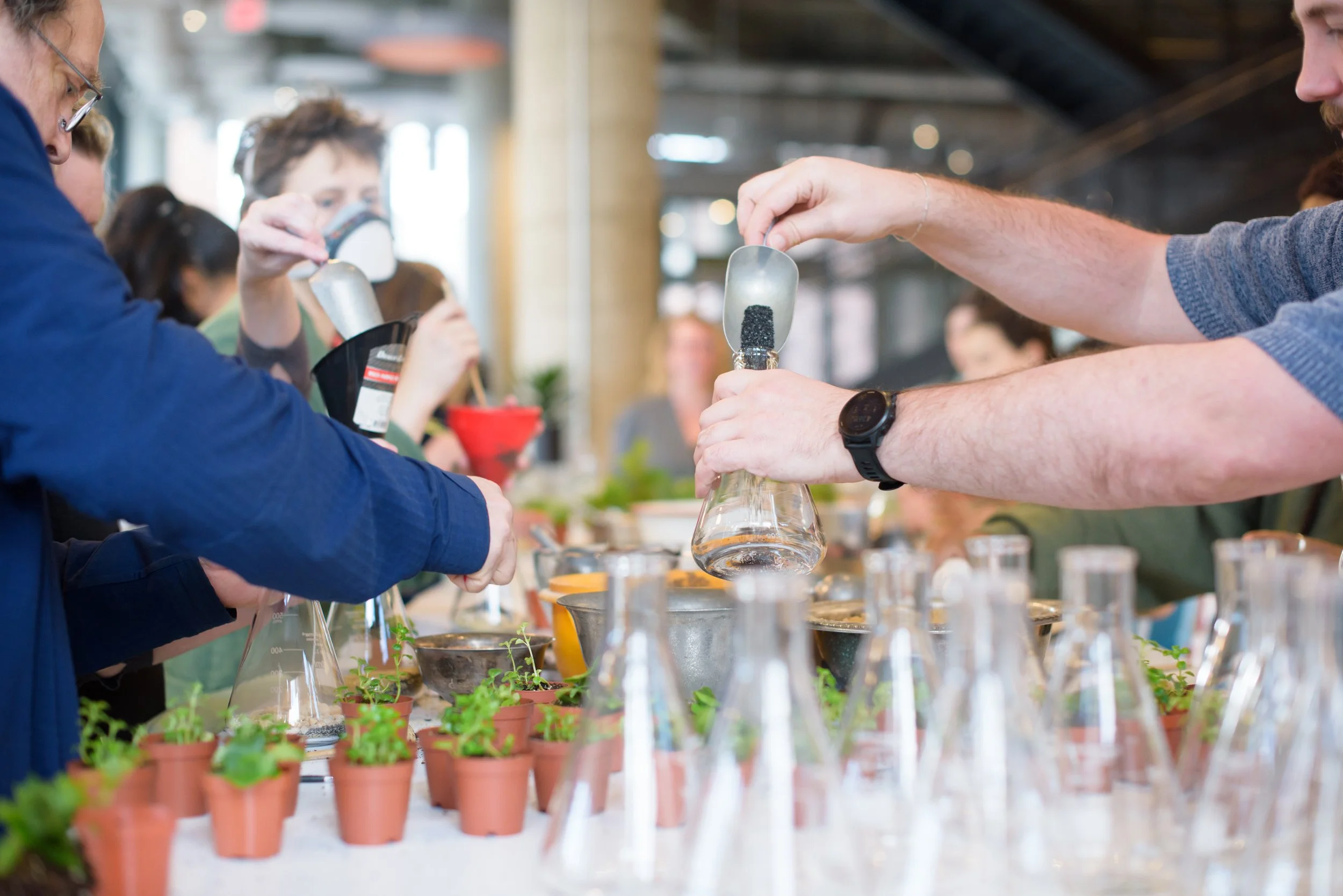 BWillow Workshop-2025-0415(SProctor)-6212.jpg