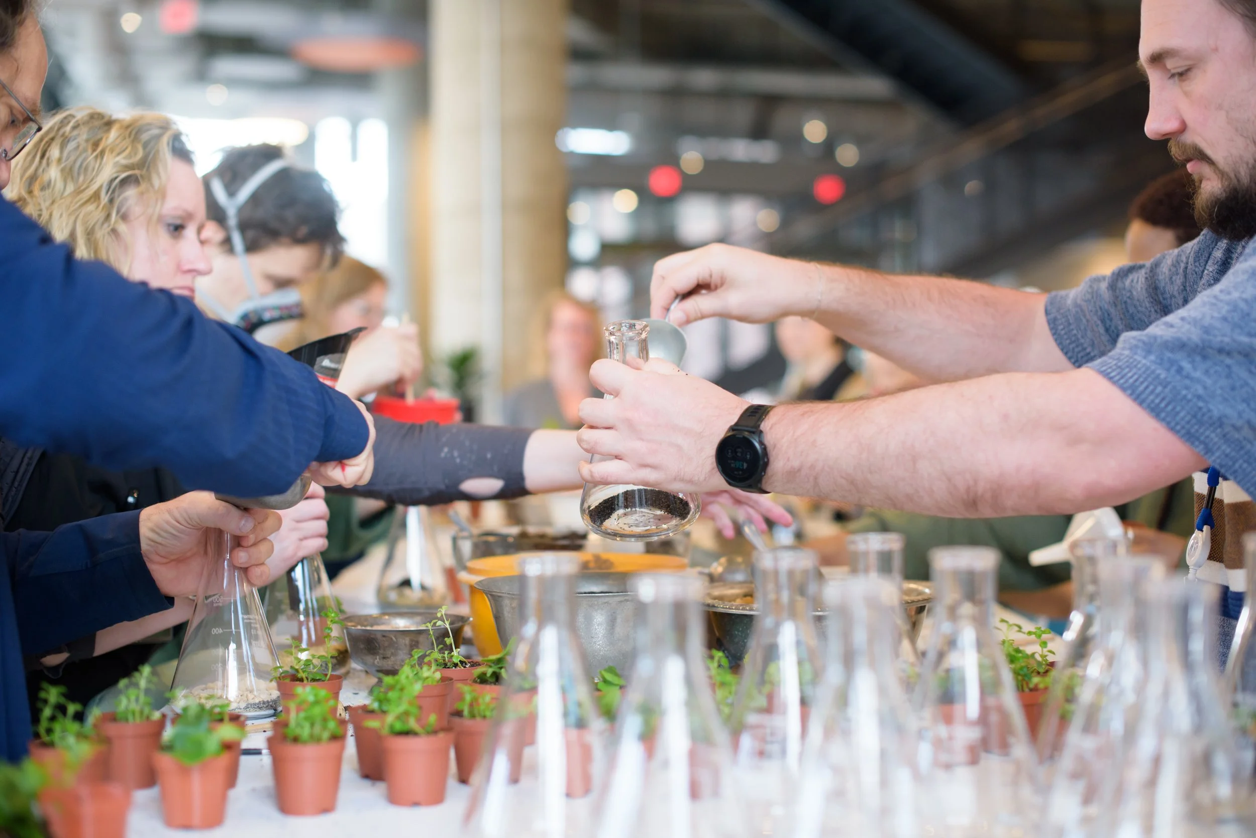 BWillow Workshop-2025-0415(SProctor)-6213.jpg