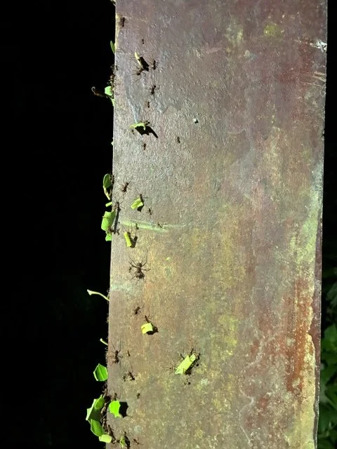 image5 (1).jpeg