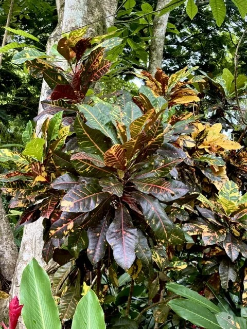 image1 (1).jpeg