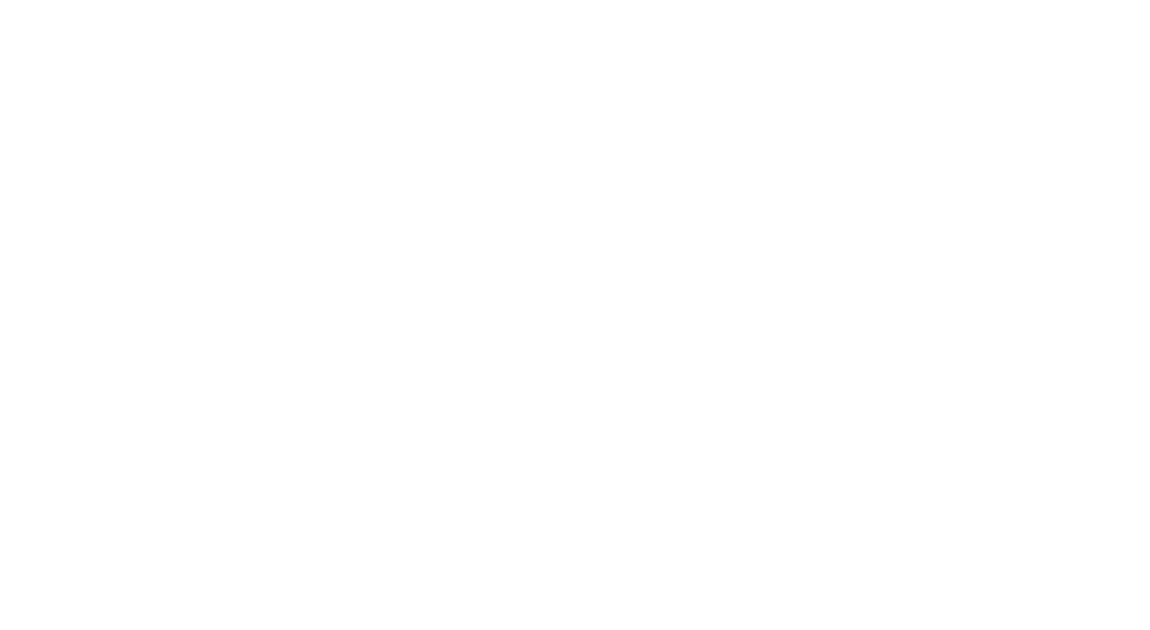 2019 Full Frame Film Festival