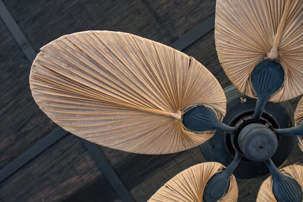 6-tips-to-beat-the-heat-ceiling-fan-1024x684.jpeg