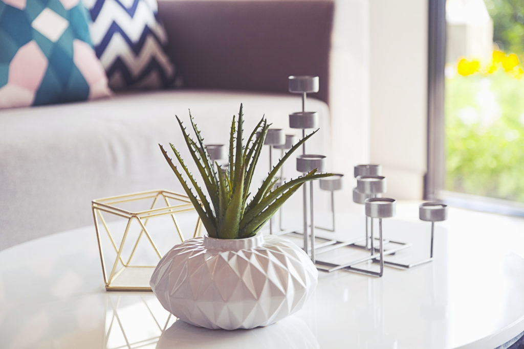 adobestock-105156652-1024x683.jpeg