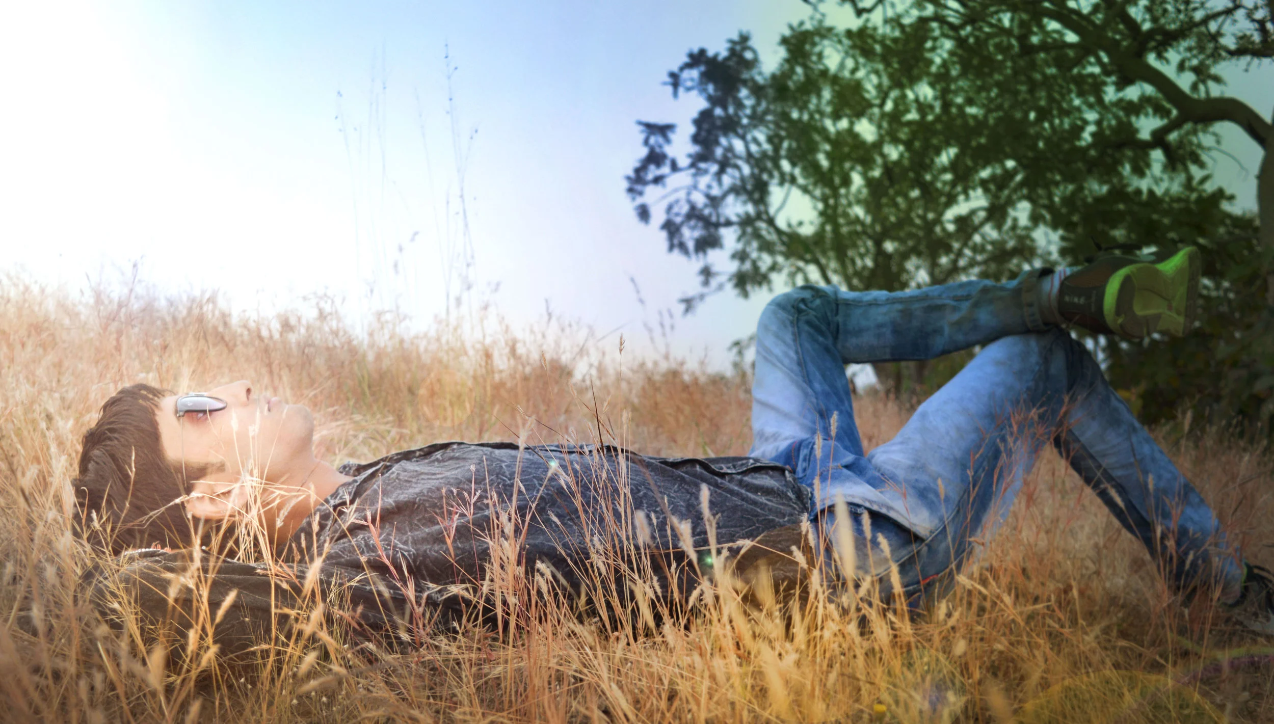 pexels-photo-245290_napping-grass.jpg