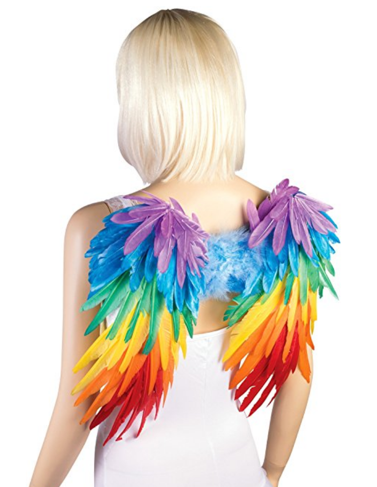 Rainbow feather wings. $41.72