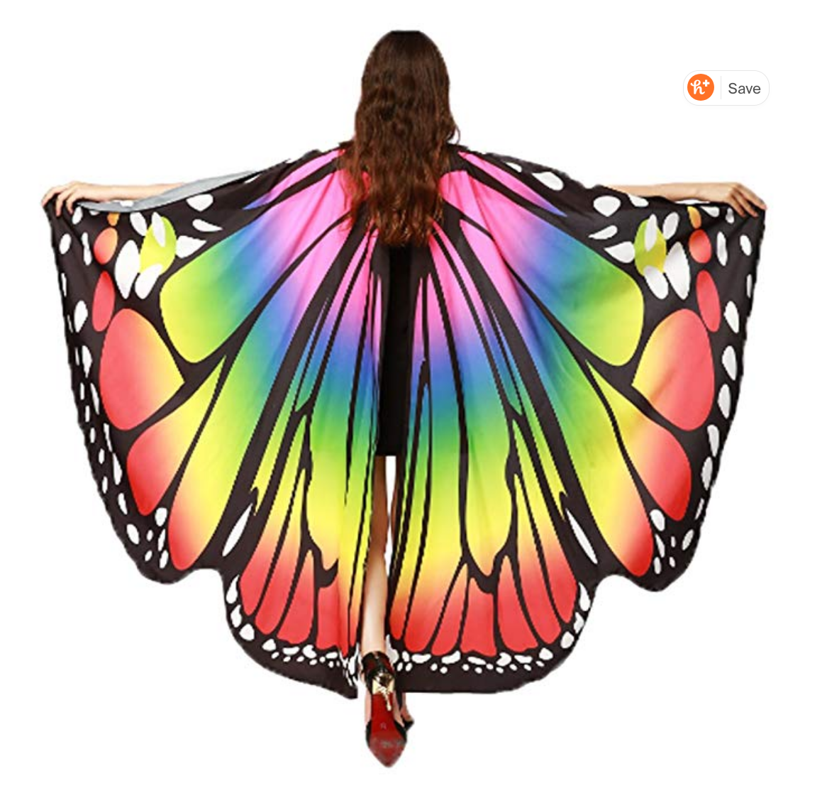 Rainbow Butterfly Wings