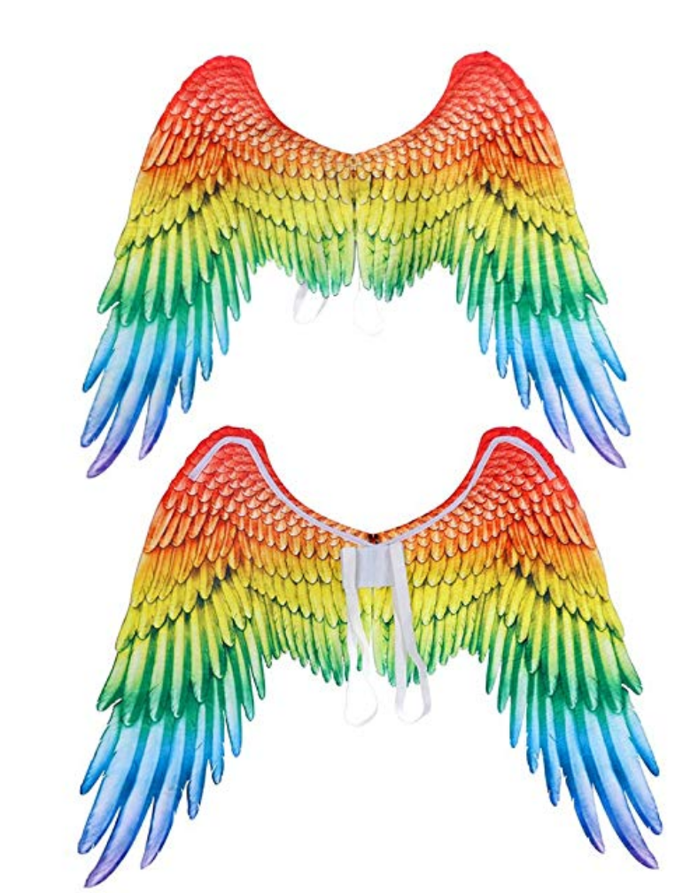Rainbow Wings $35