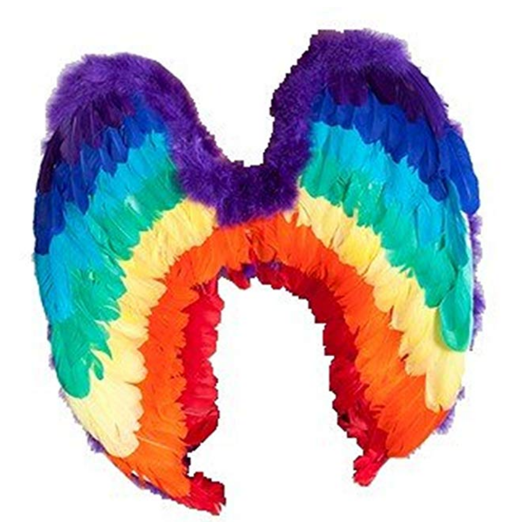 Rainbow Feather Wings $27