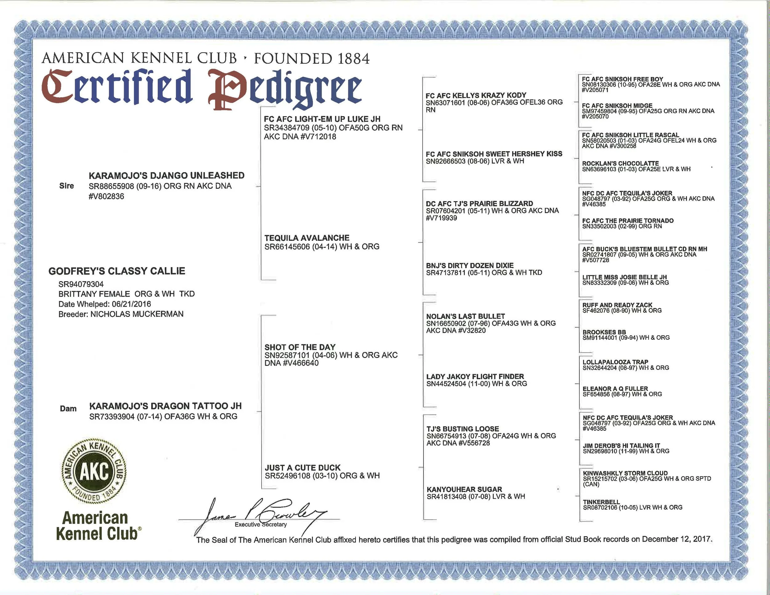 Callie Pedigree.jpg