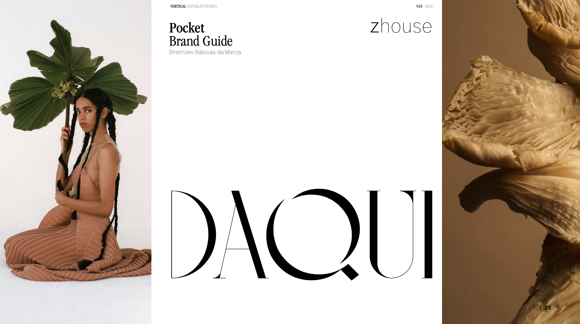 Captura de Tela 2026-01-20 às 20.15.02.png