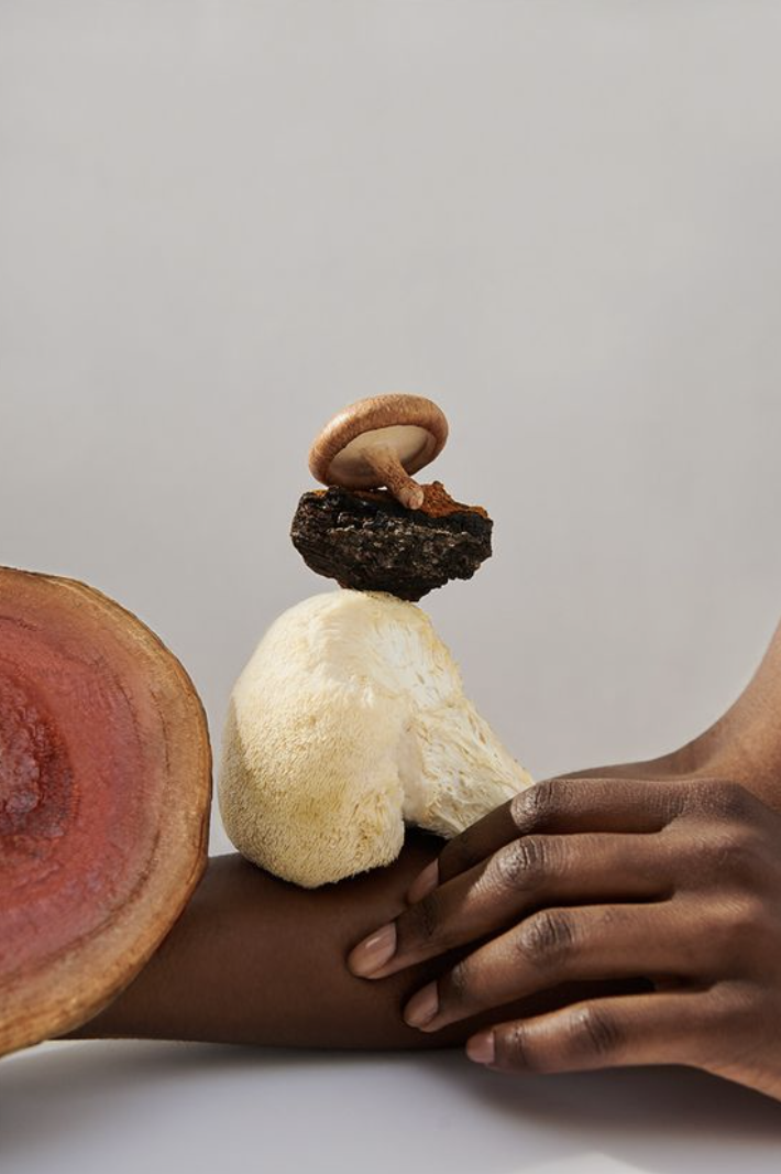 Captura de Tela 2026-01-20 às 20.15.26.png