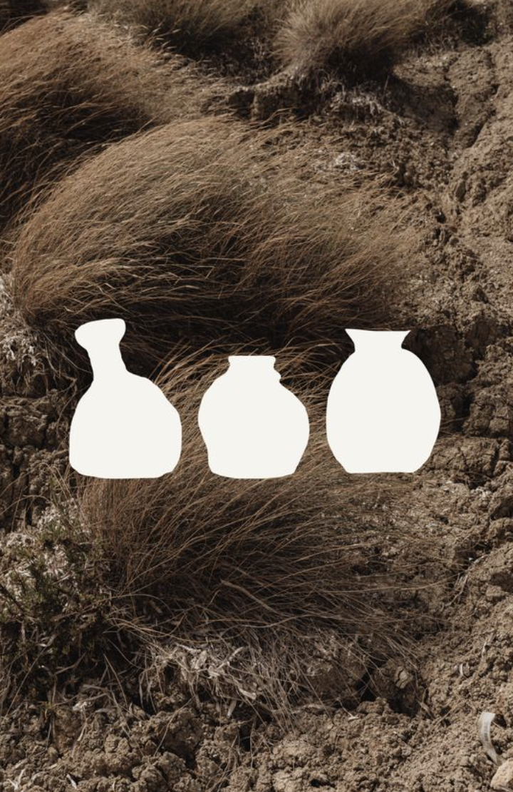 Captura de Tela 2026-01-20 às 20.15.39.png