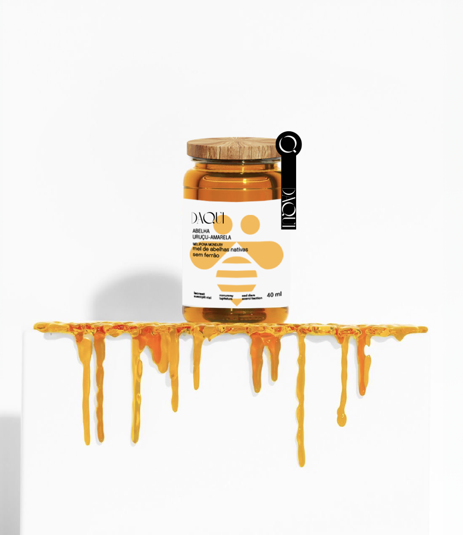 Captura de Tela 2026-01-20 às 20.18.50.png