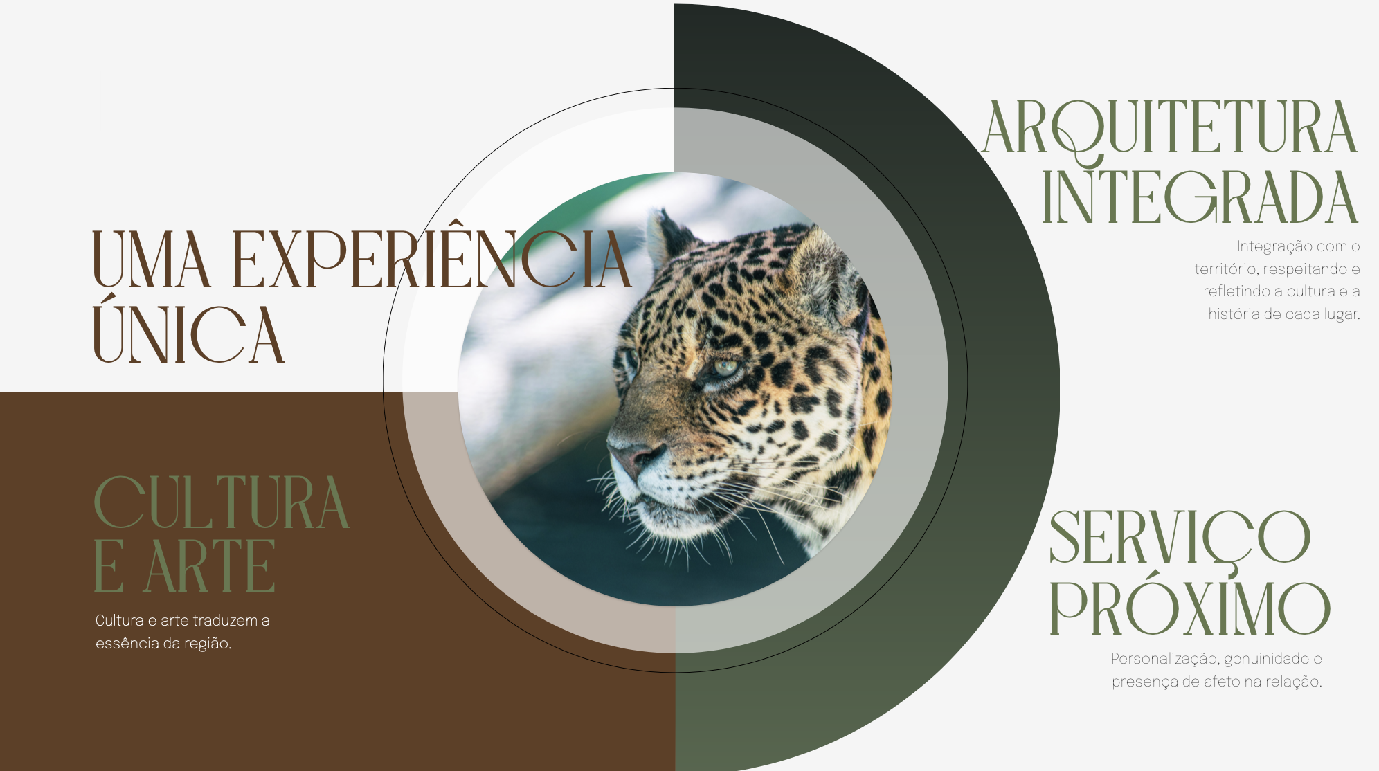 Captura de Tela 2026-01-20 às 20.28.00.png