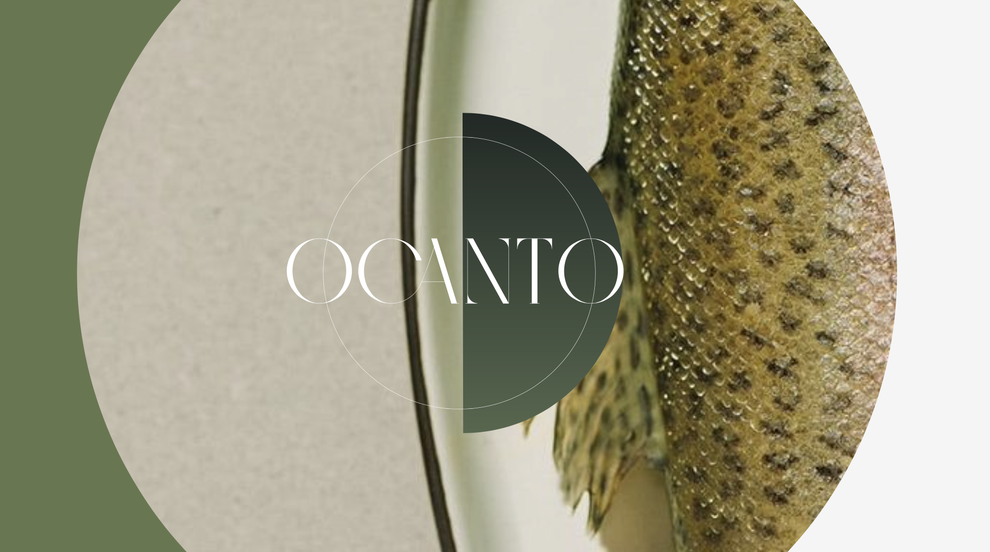 Captura de Tela 2026-01-20 às 20.29.07.png