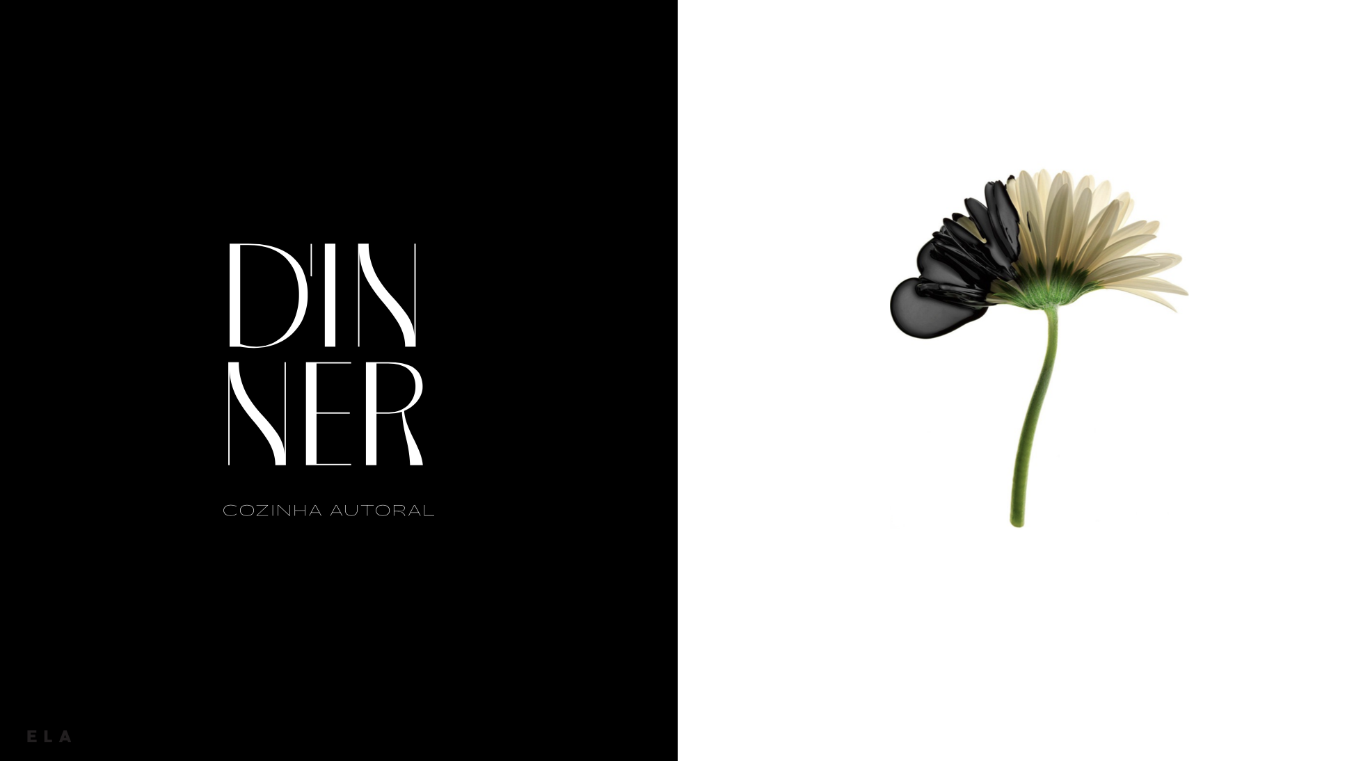 Captura de Tela 2026-01-20 às 21.03.33.png