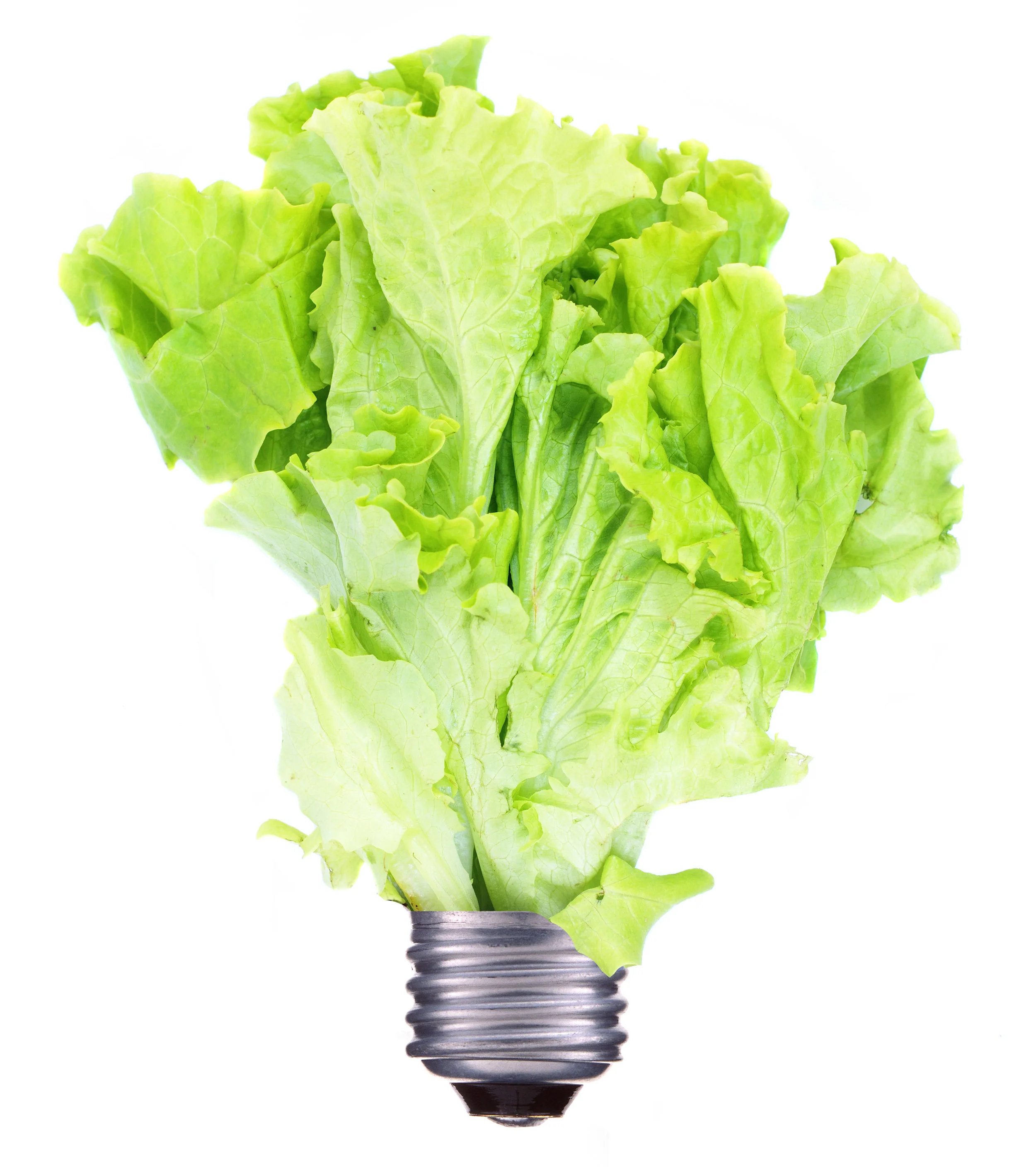 AdobeStock_34317262.jpeg