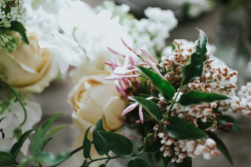 Screen Shot 2017-09-17 at 8.23.26 AM.png