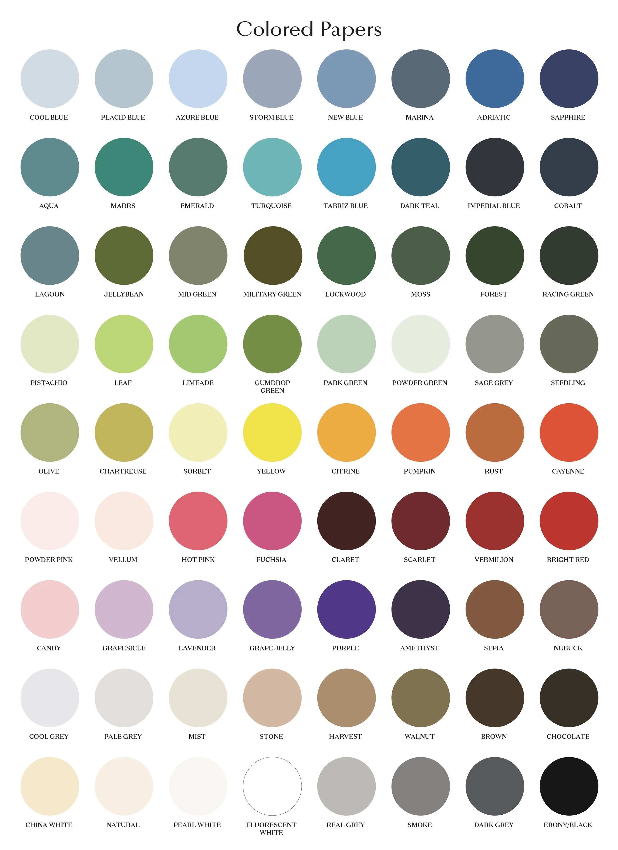 Dear Elouise PaperColors_July2023_rgb.jpg