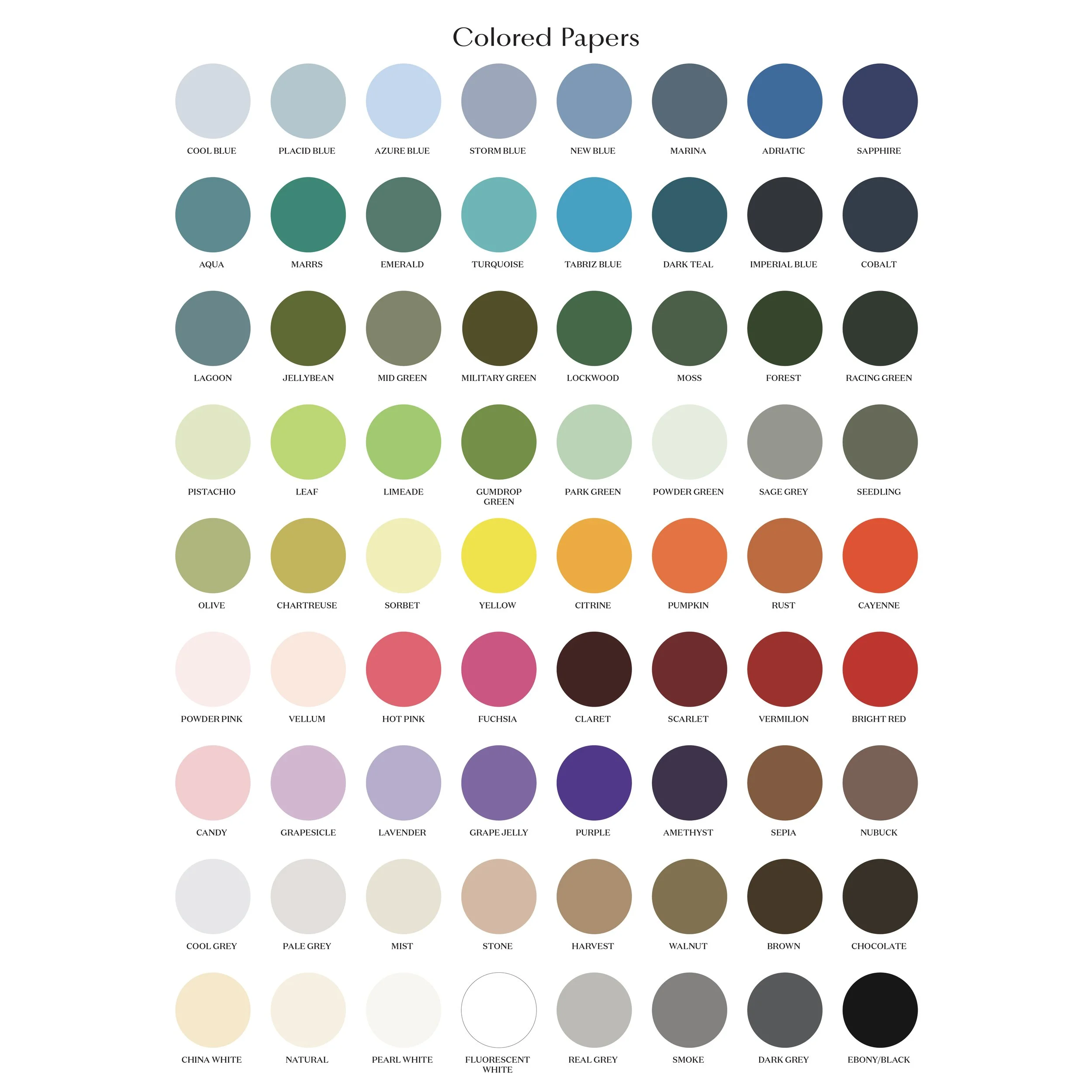 Dear Elouise PaperColors_July2023_rgb_square.jpg