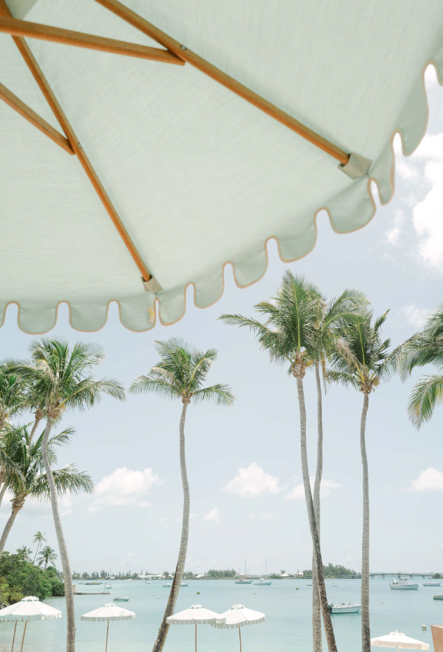 Screen Shot 2025-02-24 at 12.51.01 PM.png