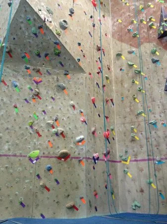 aiguille-rock-climbing.jpg