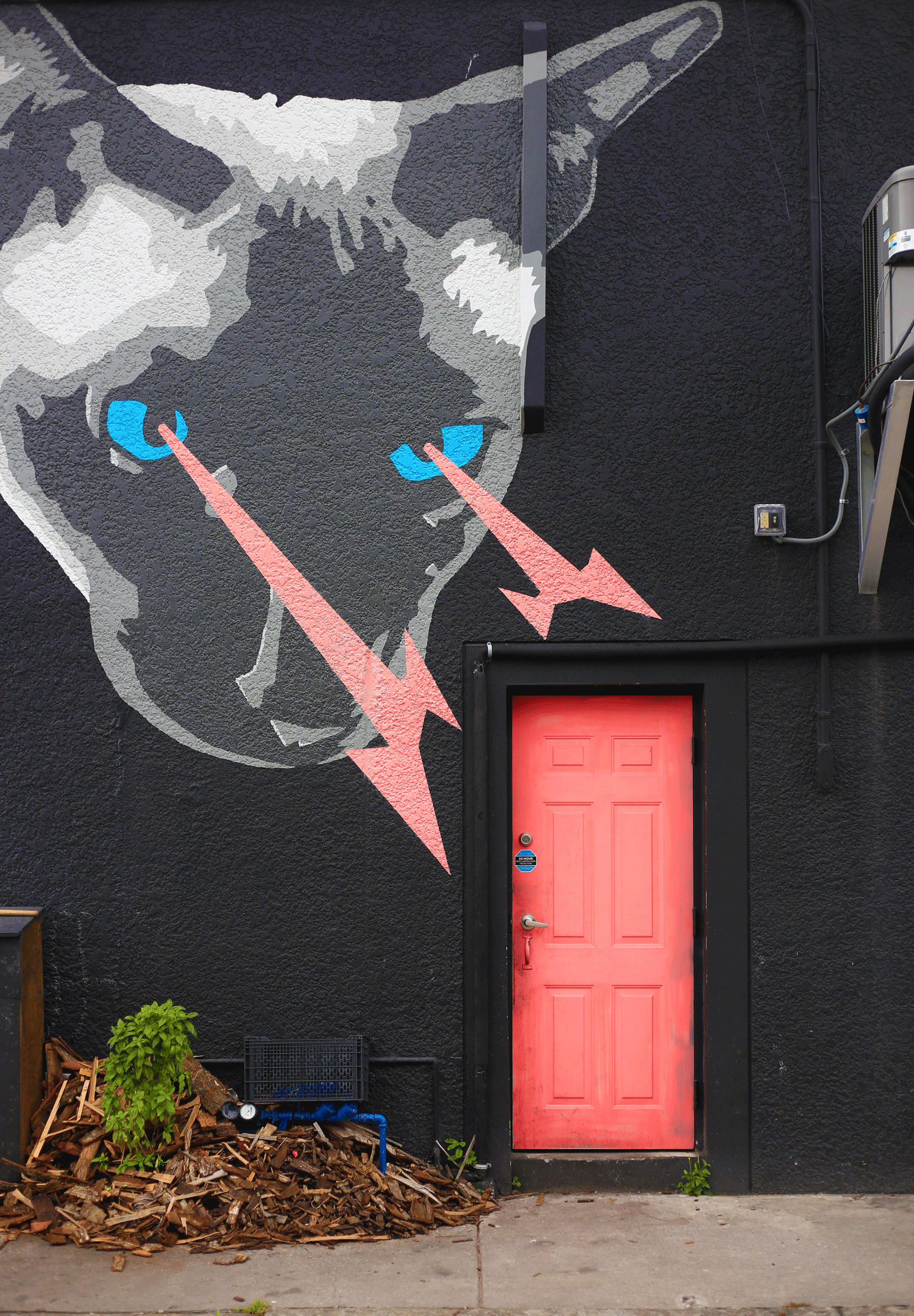 catmural.gif