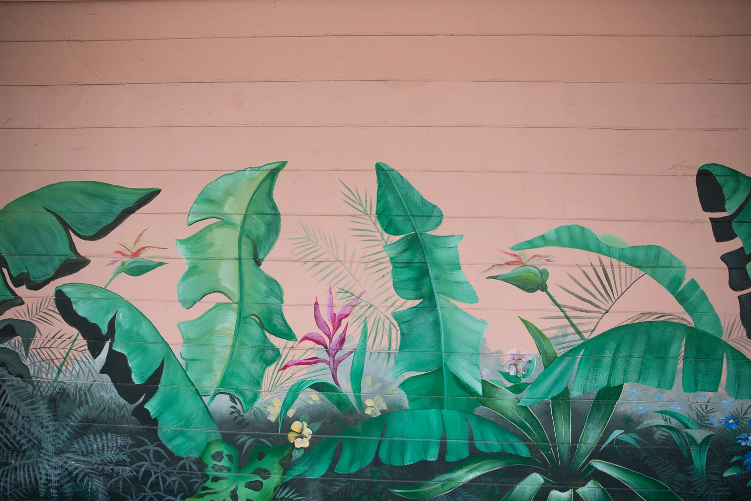 orlandophotospots-9884.jpg
