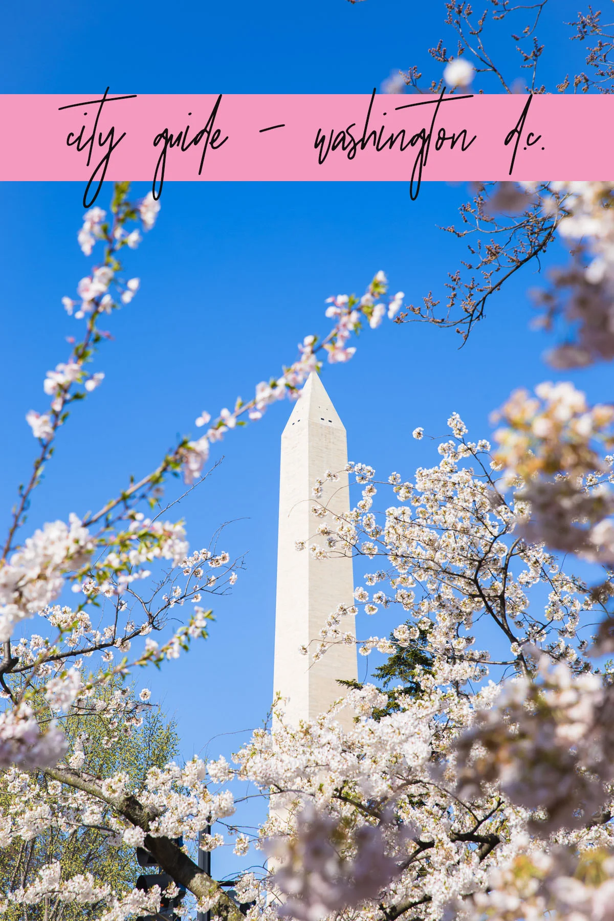 pinterest d.c..jpg