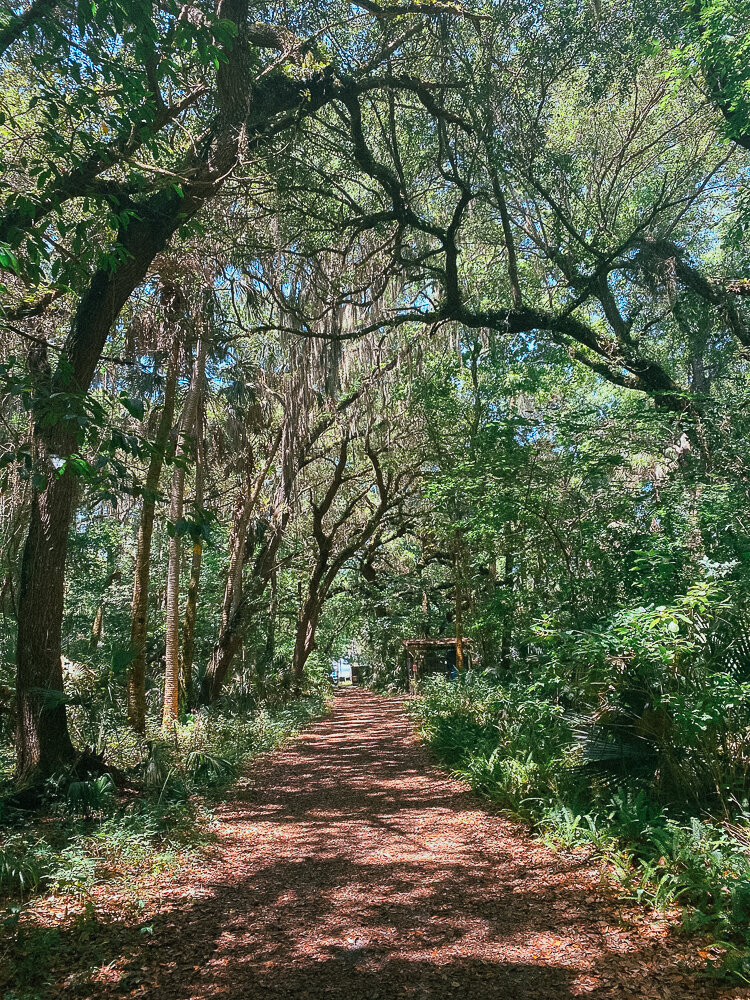 FloridaStateParks-10.jpg